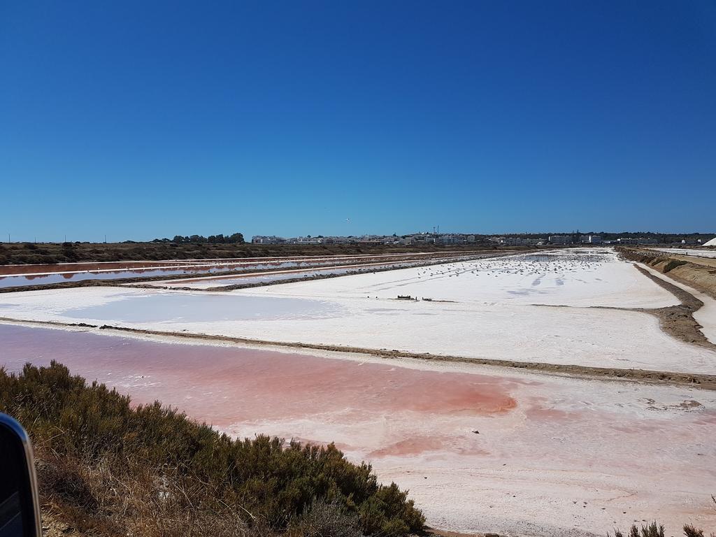 Arroteia de Baixo Casas Tipicas Algarviasヴィラ エクステリア 写真