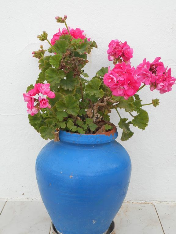 Arroteia de Baixo Casas Tipicas Algarviasヴィラ エクステリア 写真